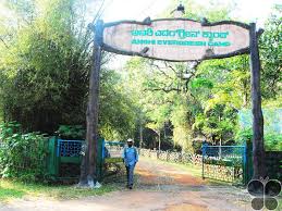 anshi-national-park-of-dandeli