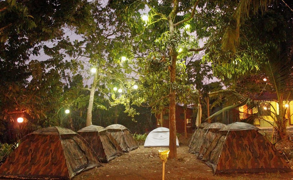 jungle-camping-in-Dandeli