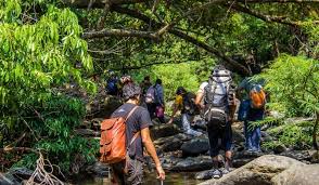 trekking-in-dandeli